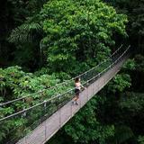 Arenal Hanging Bridges