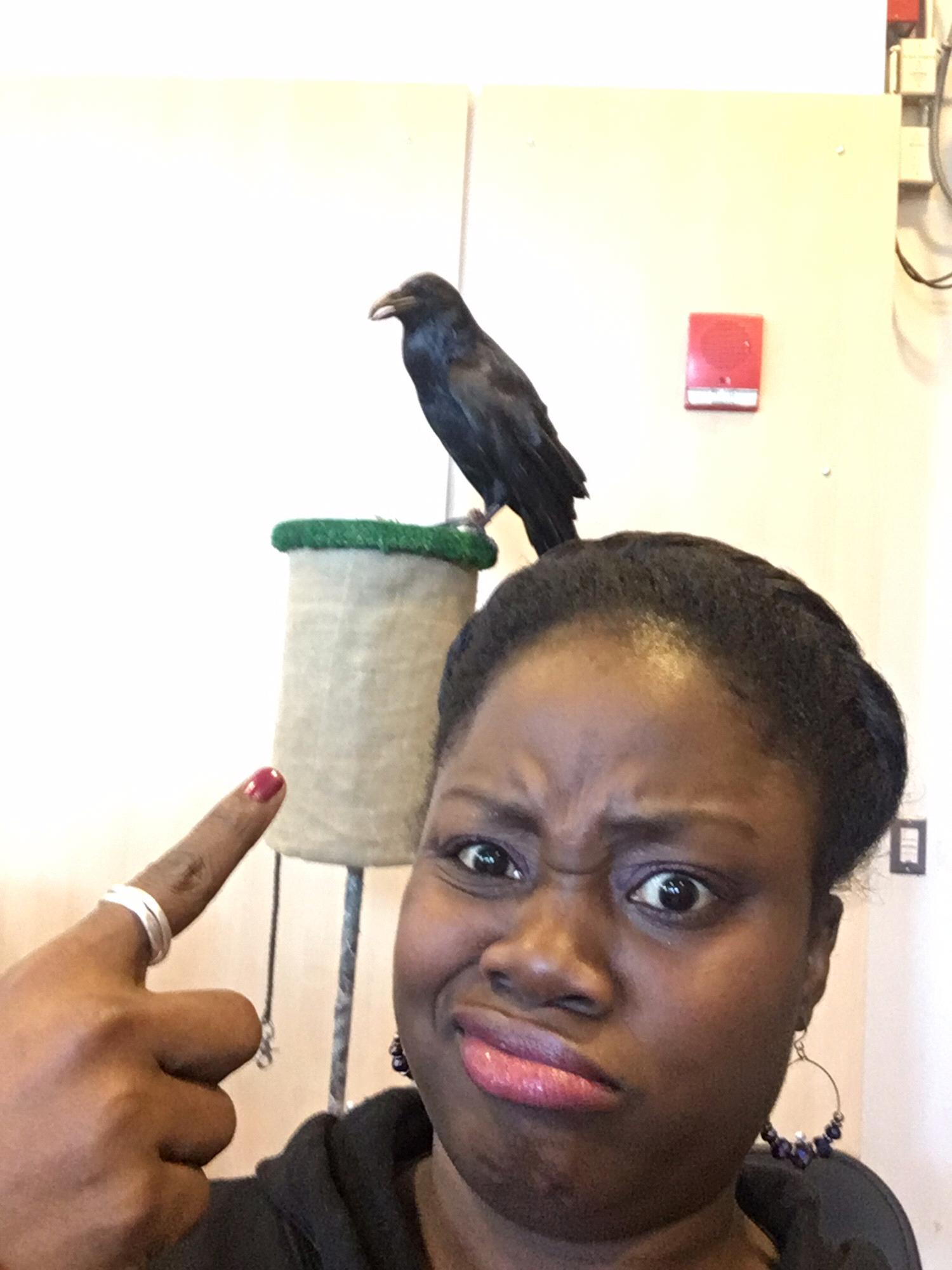 Yes that’s a REAL raven on set!