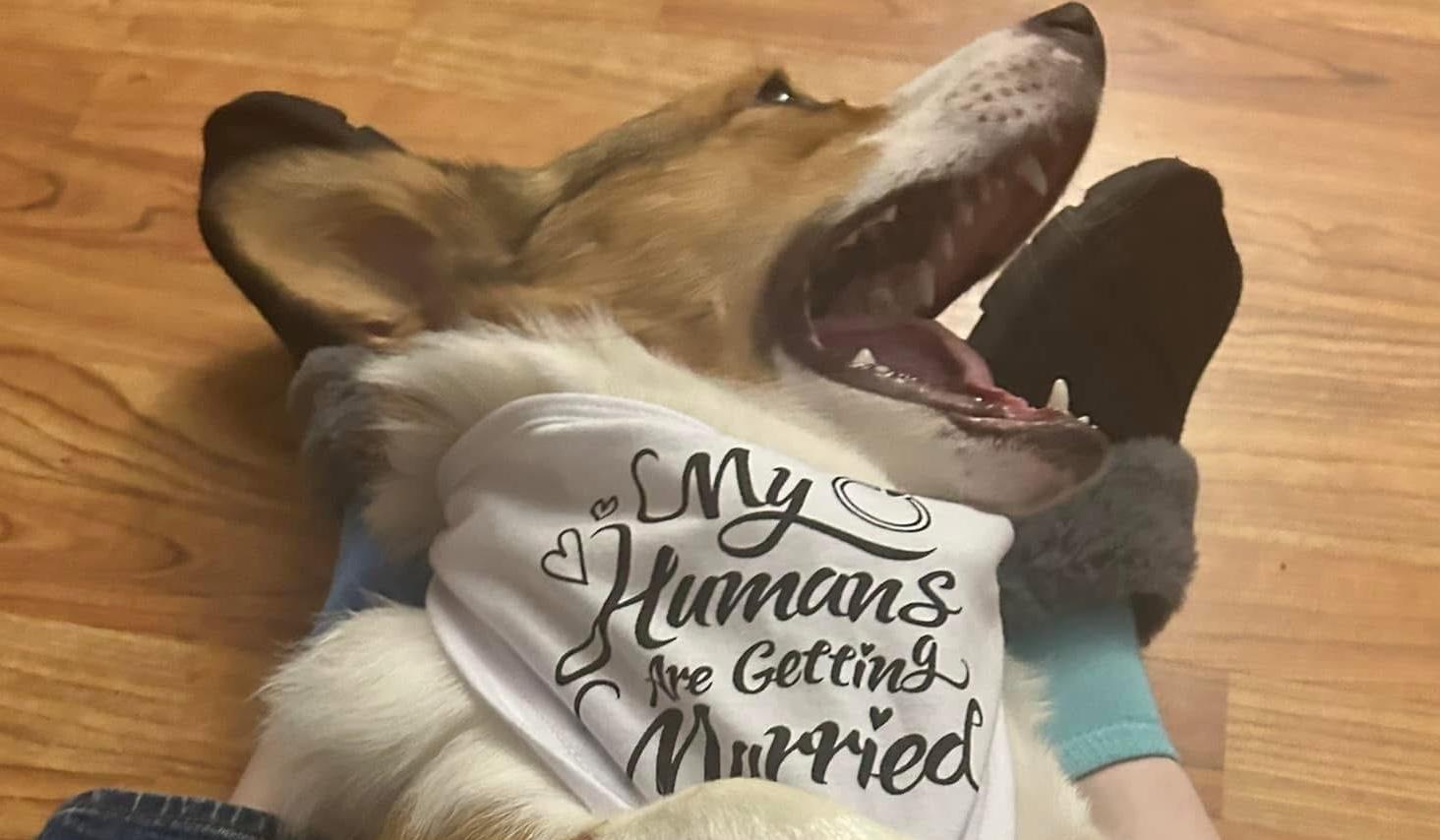 The Wedding Website of Jen Hutchinson and Rockie Rhode