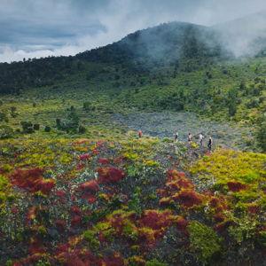 Hualalai Volcano Hiking Tour