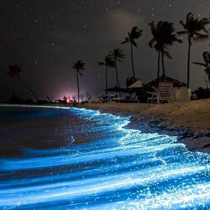 Luminous Lagoon Honeymoon Excursion