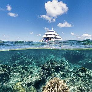 Honeymoon: Barrier Reef Snorkel in Belize