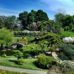 The Huntington Library, Art Collections, and Botanical Gardens