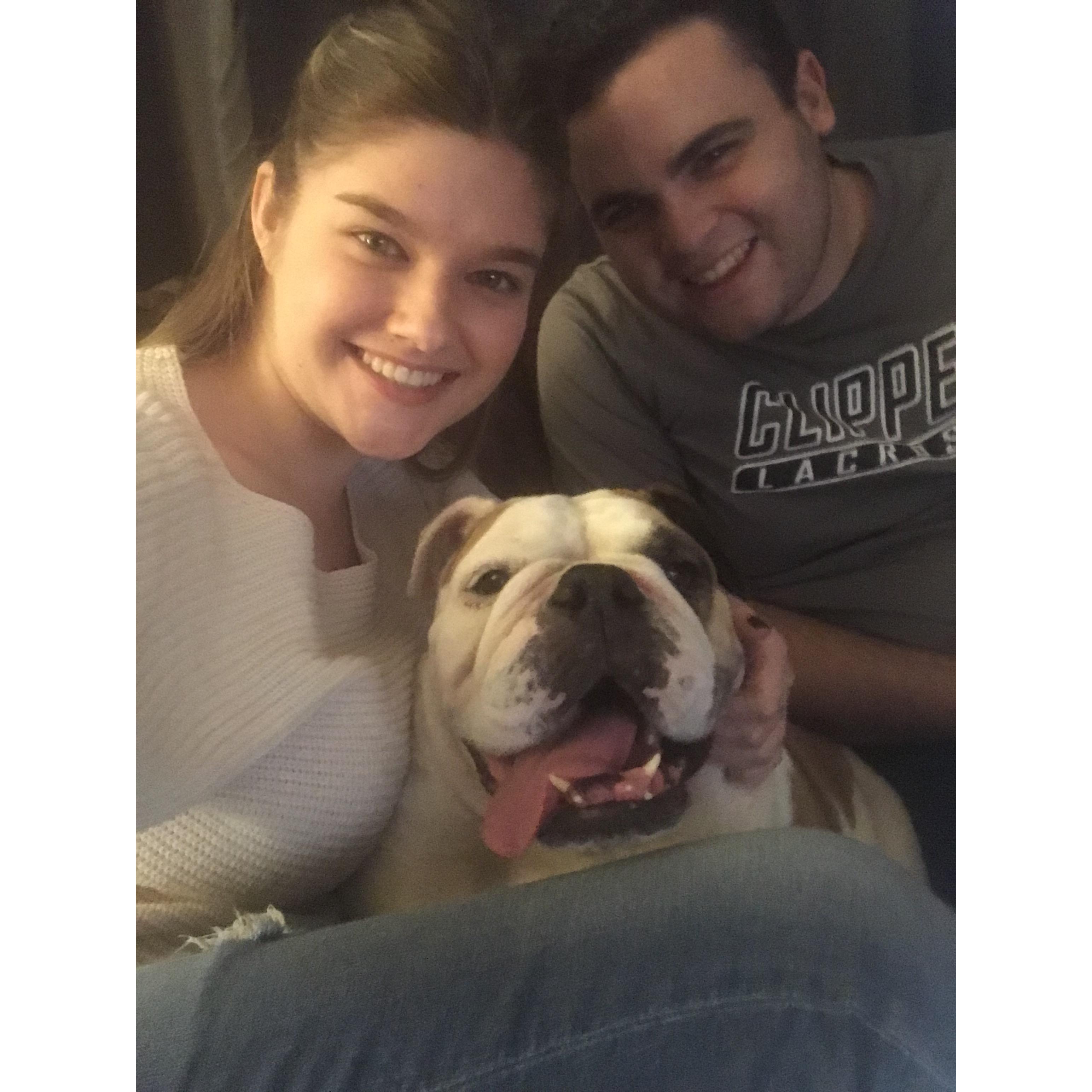 Featuring Bailey, Erik's foster dog who was adopted last year!