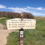 Spruce Mountain Open Space Trailhead