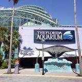 The Florida Aquarium
