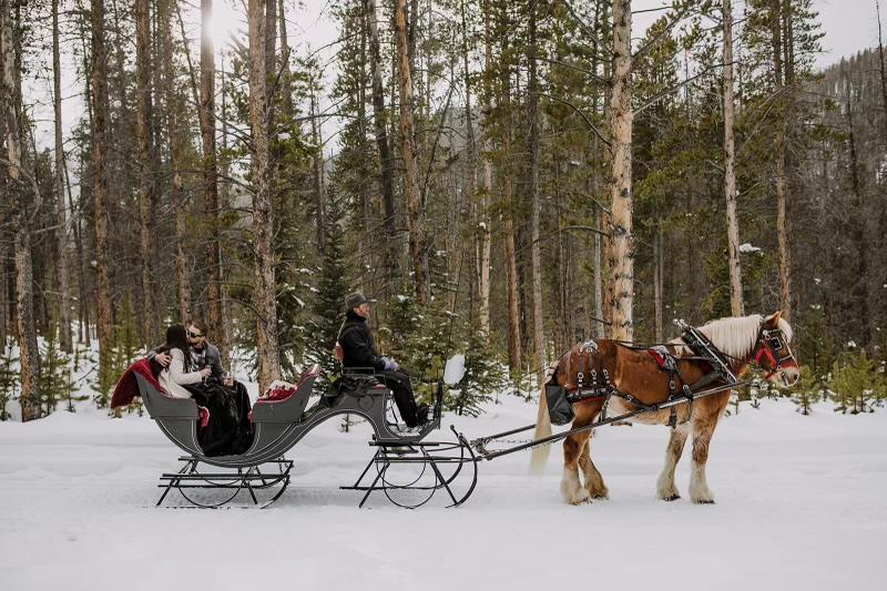 The Wedding Website of Brianna Cona and Craig Grippe