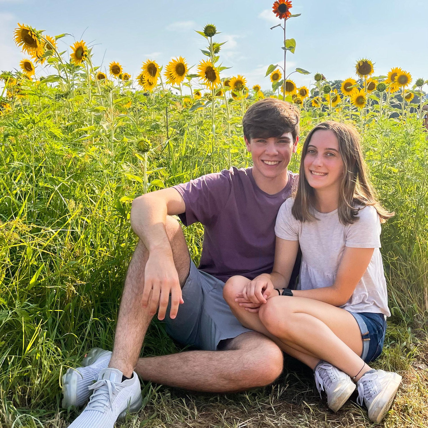 Dorothea Dix Sunflower Field 2021