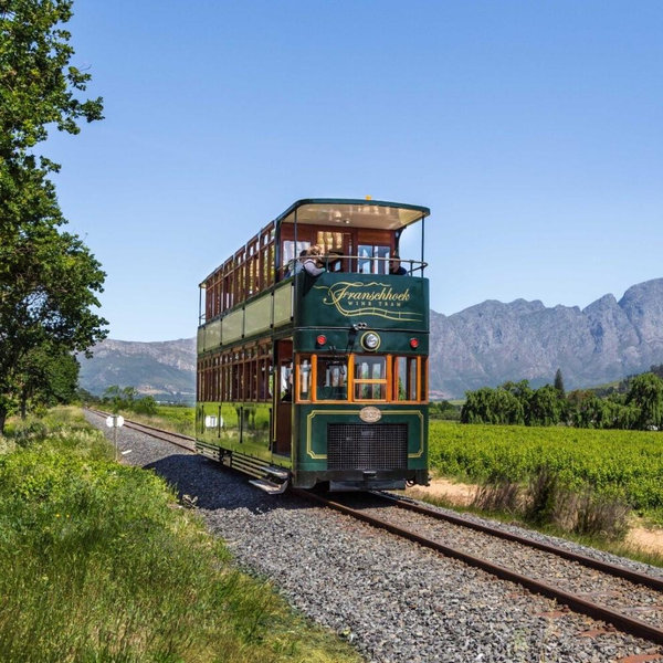 Wine Tasting in Franschhoek, South Africa