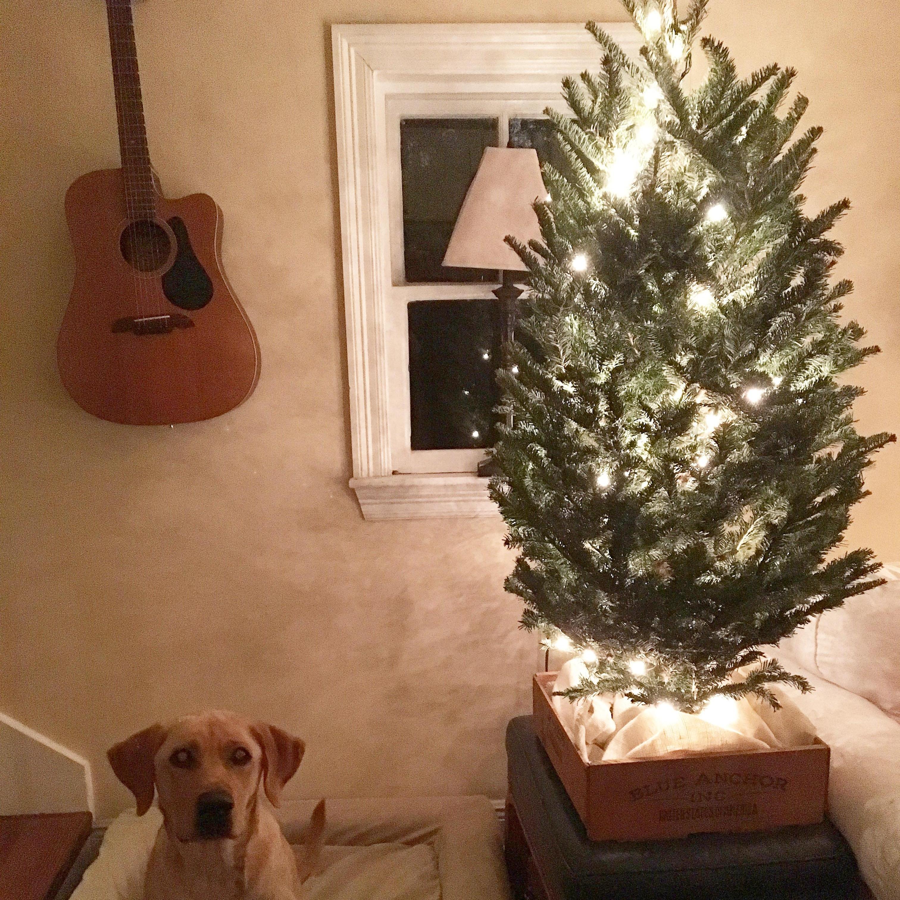 Tiny House Christmas.