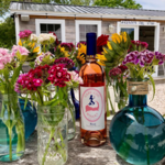 Cape Cod Winery