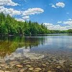 Jamies Pond