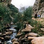 Towsley Canyon Hiking Trails