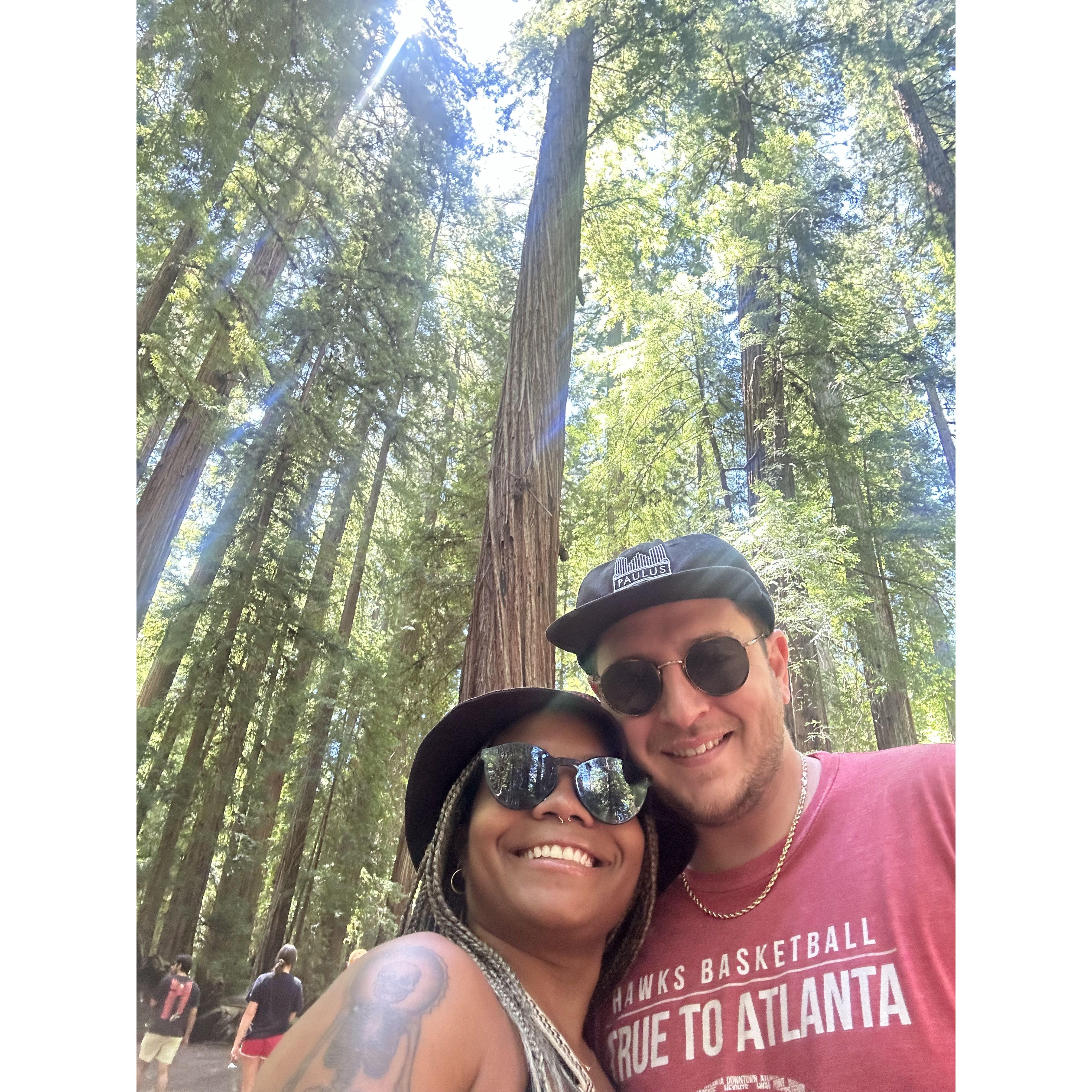 Redwood Forest!
