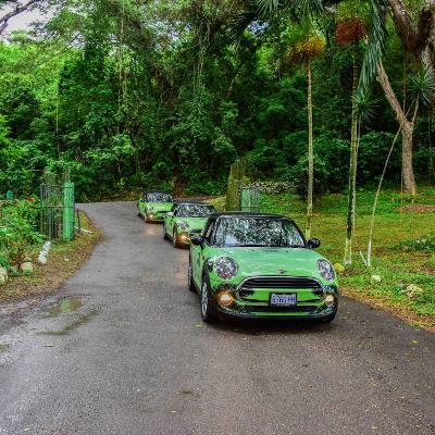 Mini Routes Adventure to Negril Honeymoon Excursion
