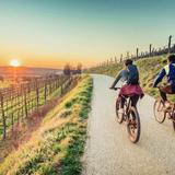 Calistoga Bikeshop