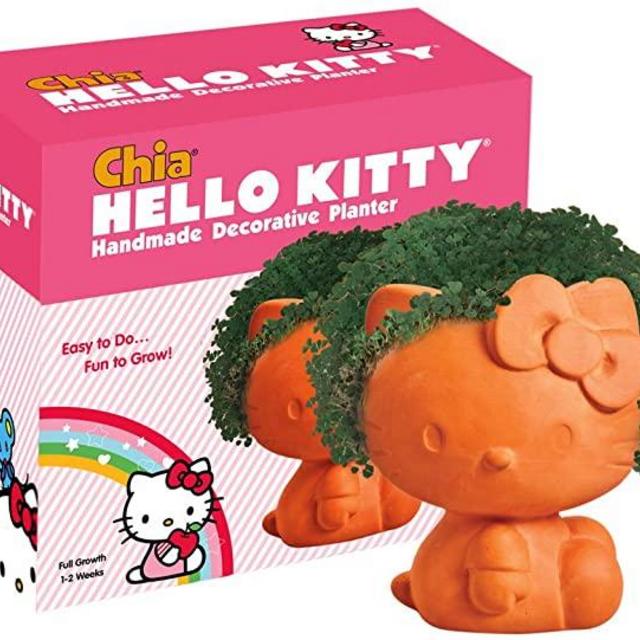 Chia Pet Hello Kitty
