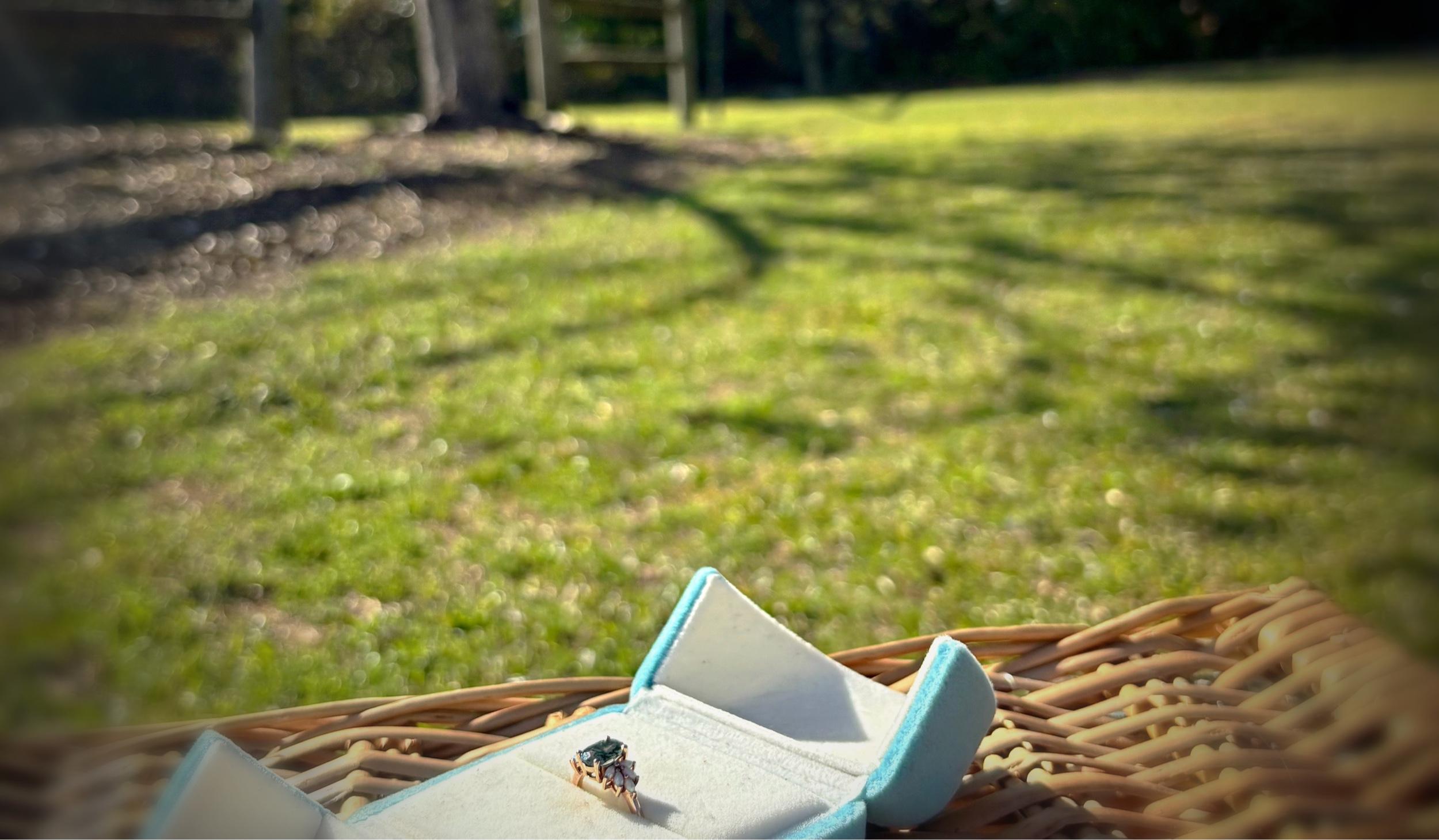 Hero Slideshow Image 5