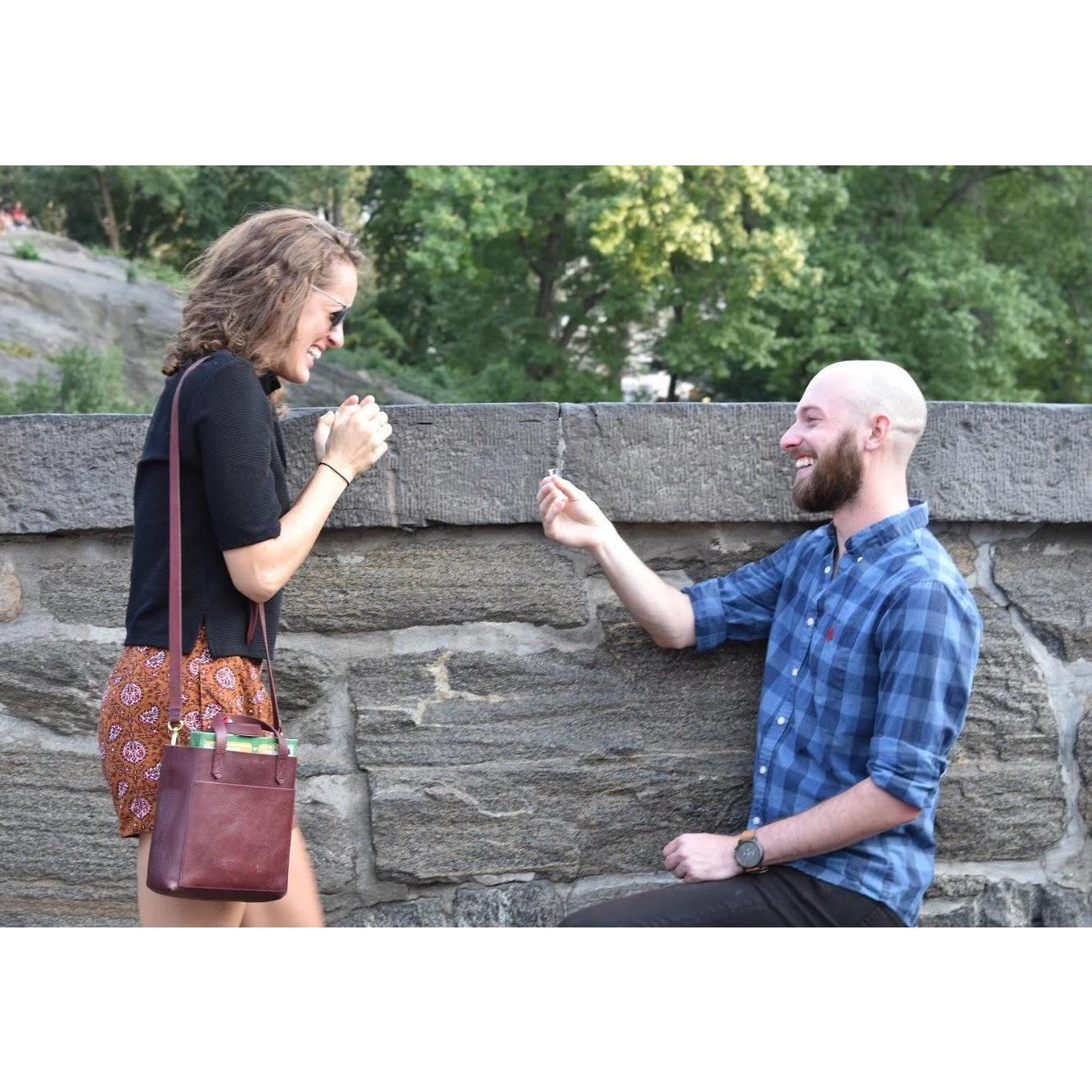 The proposal in Central Park
