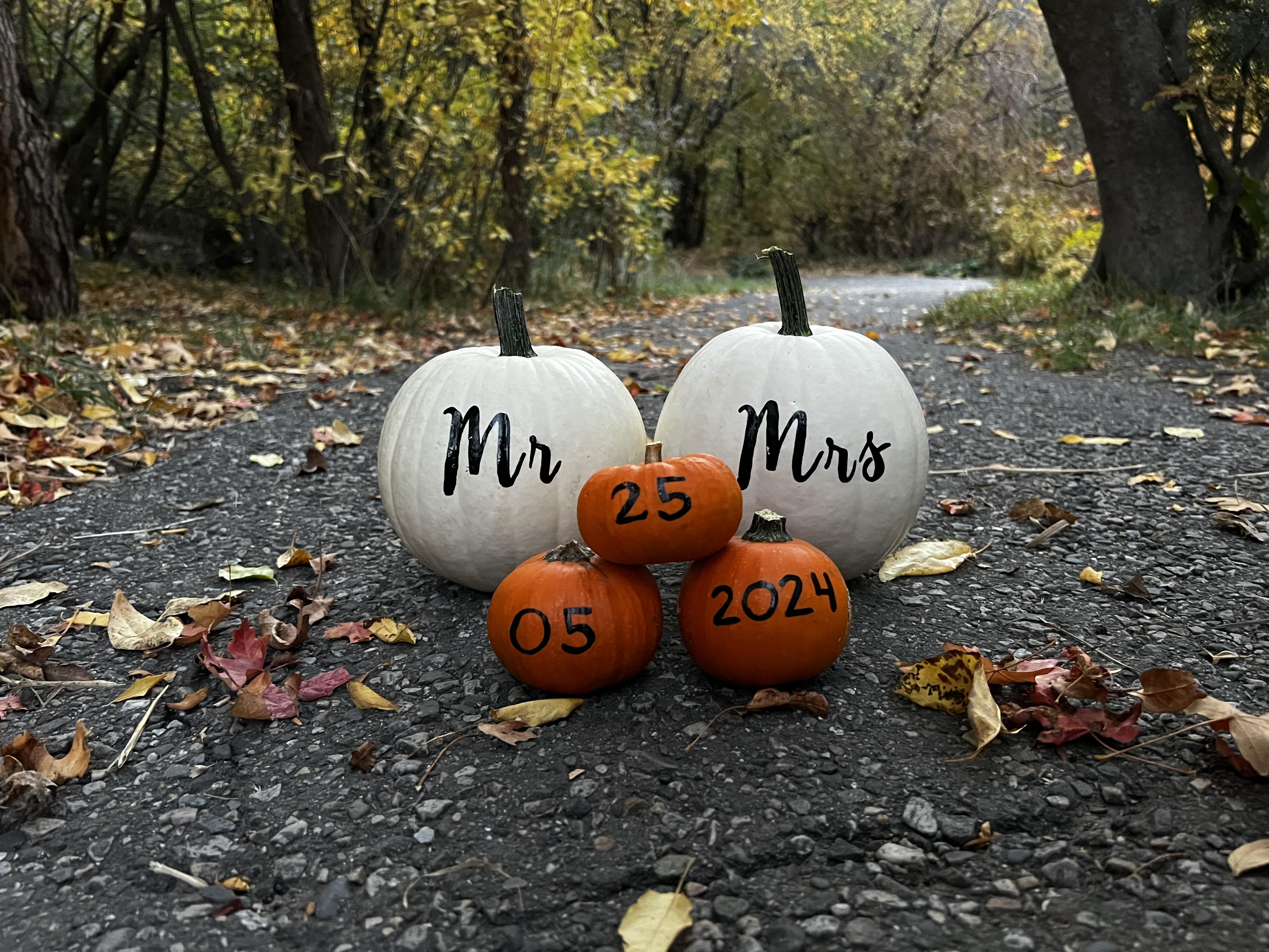 The Wedding Website of Kylee Marion and Austin Simpson