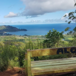 Okolehao Hiking Trailhead
