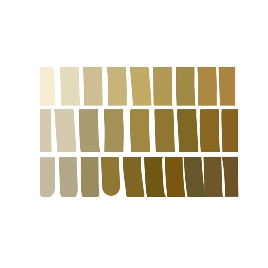 Dress Code Color Palette Example