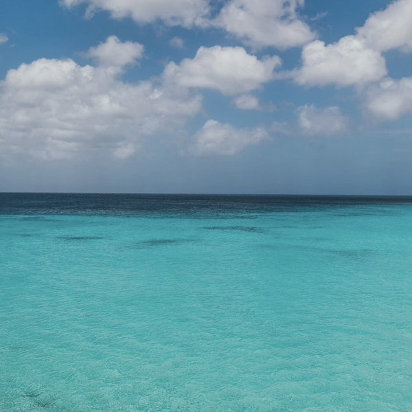 Honeymoon excursion fund🏝️