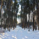 Hartley Nature Center