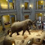 Smithsonian National Museum of Natural History