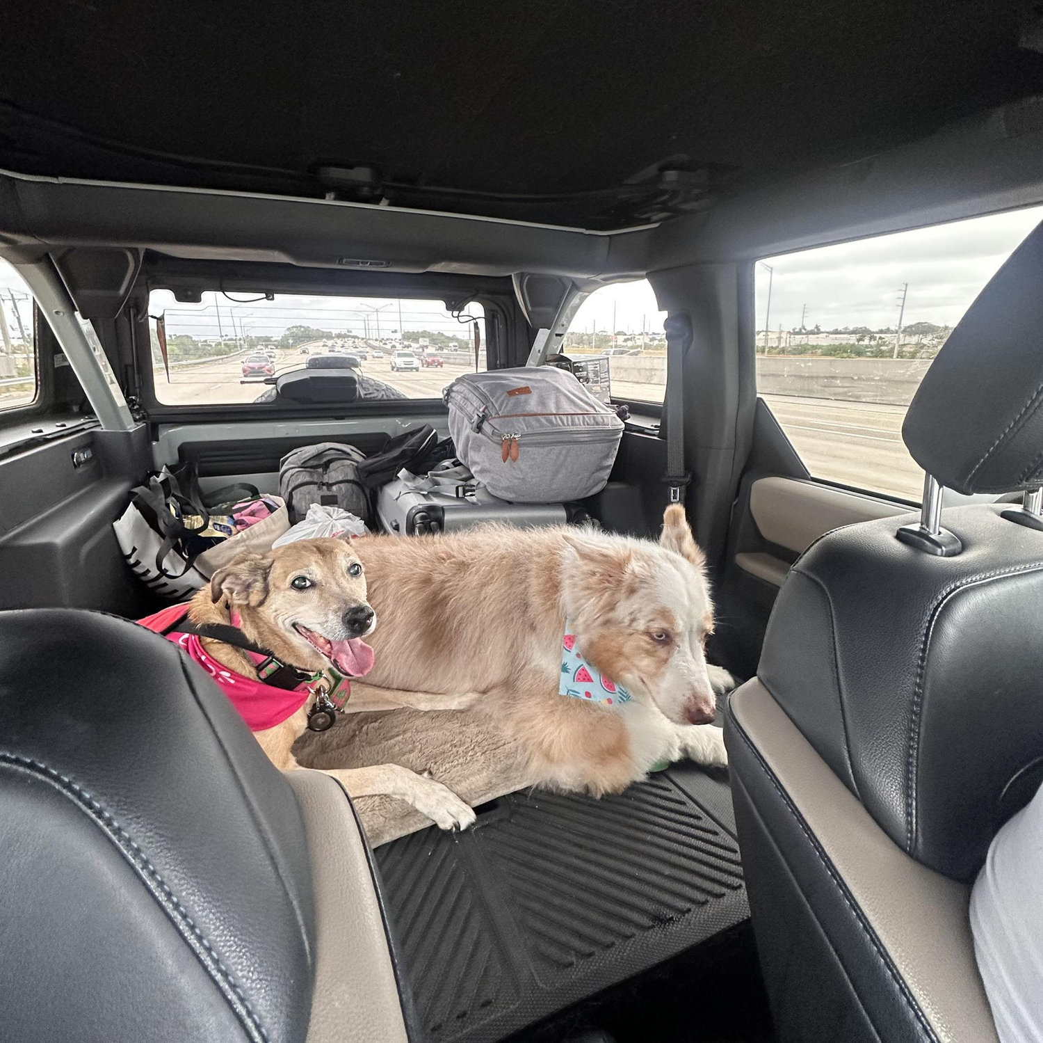 Our first fam road trip