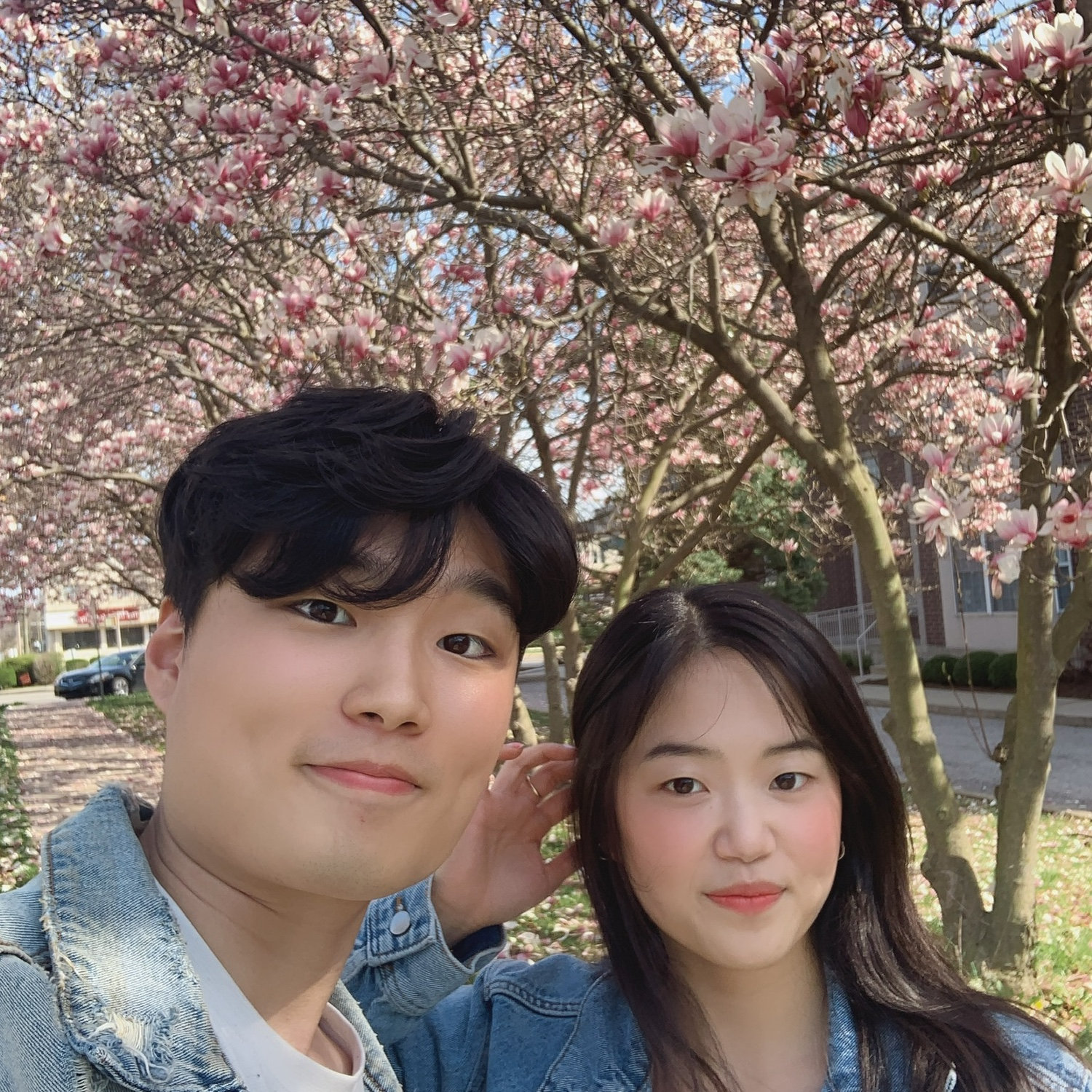 Cherry Blossoms
March, 2020