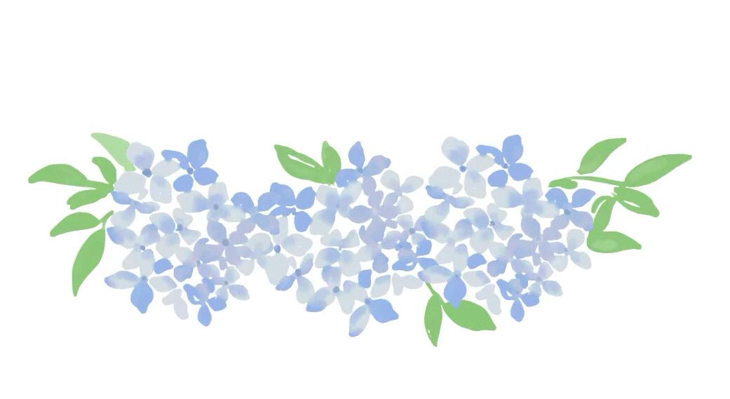 Footer image