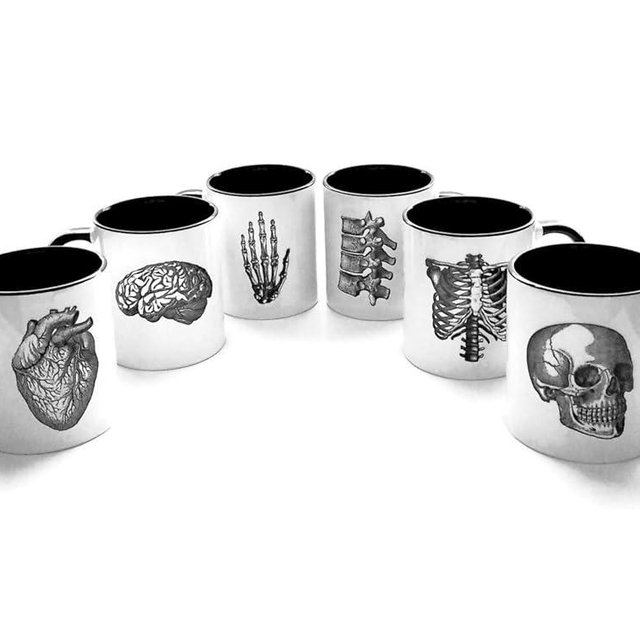 six Anatomy coffee Mugs 11 oz or 15 oz gift set skull anatomical heart brain vertebrae hand doctor nurse medical