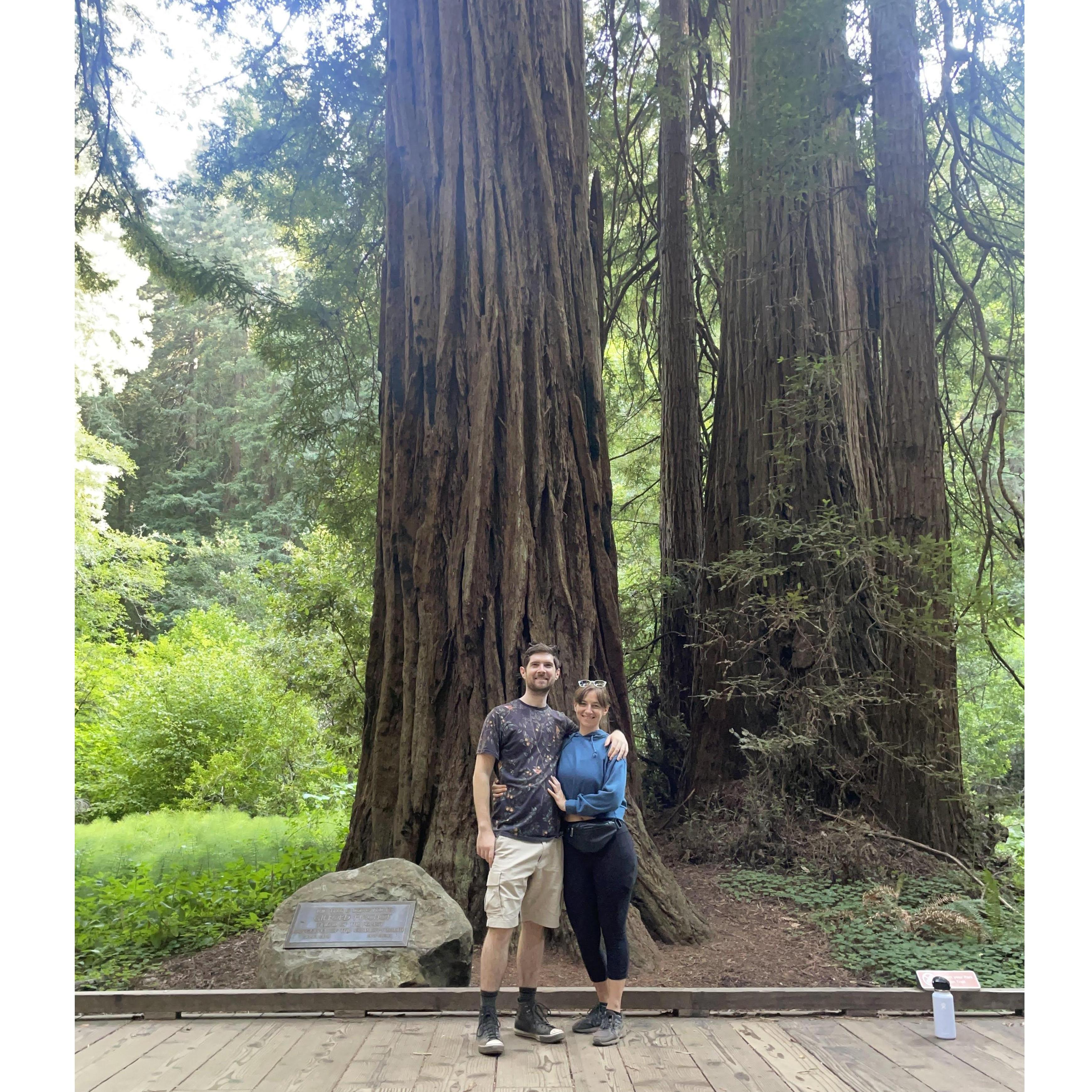 Muir Woods 2021