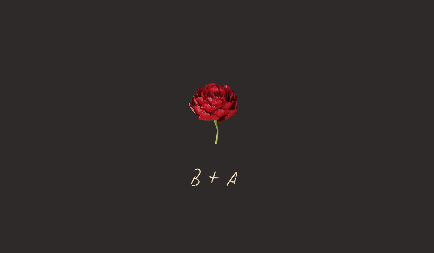Footer image