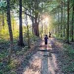 Hiking in Raleigh