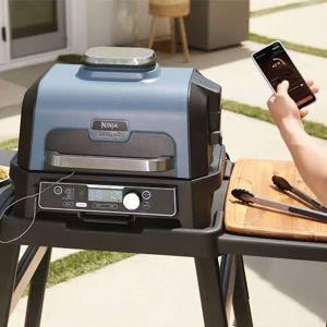 Ninja Woodfire Outdoor Grill