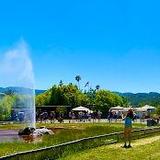 Old Faithful Geyser of California