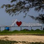 Alappuzha Beach