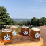 Bear Chase Brewing Company