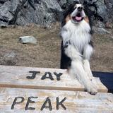 Jay Peak - Hikes + Bikes
