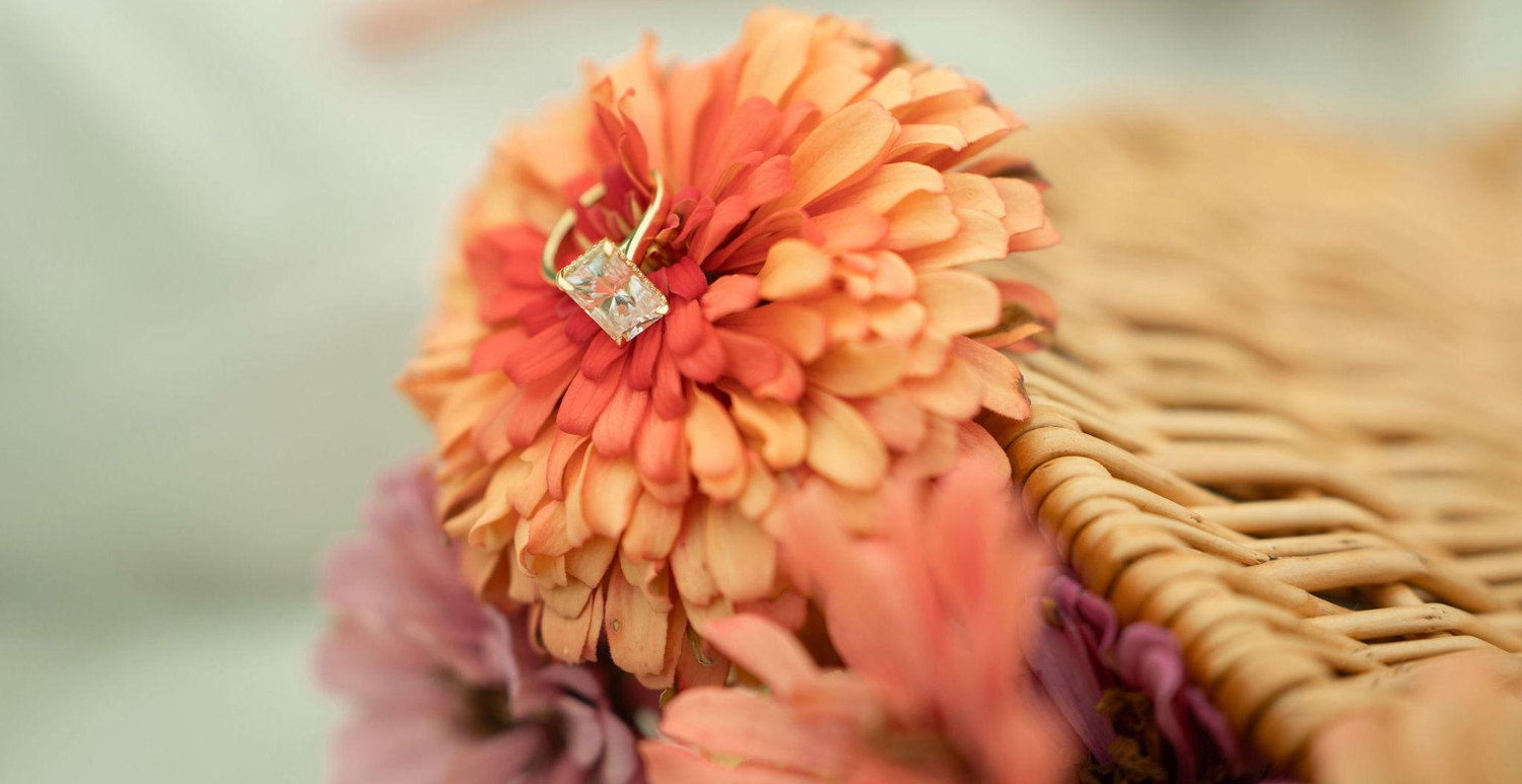 The Wedding Website of Skylar Sloan and Noah Walker