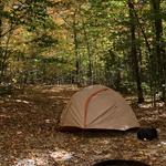 White Mountain National Forest