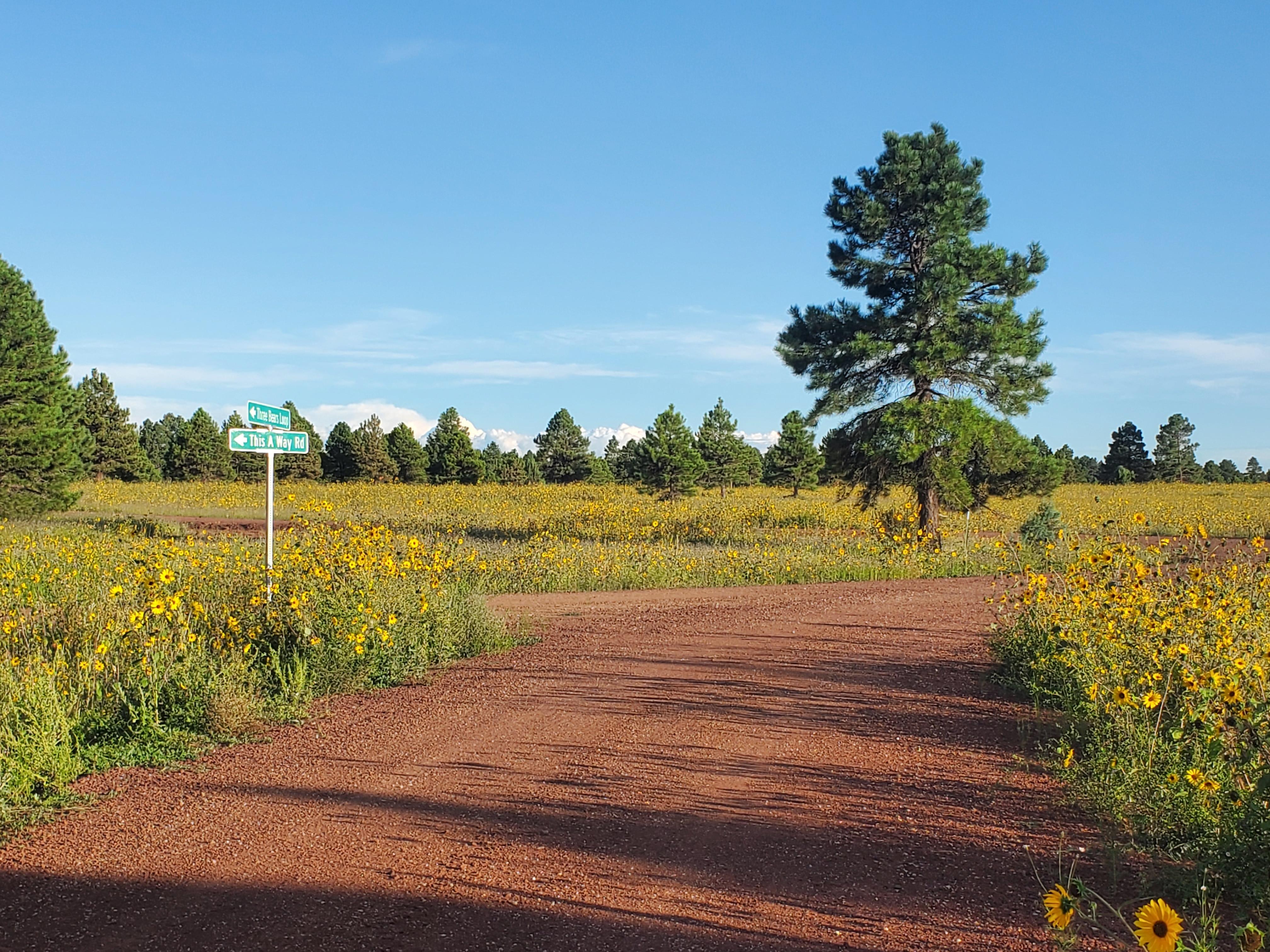 31dcd068-45be-4fae-bfc7-ba8c1559e628