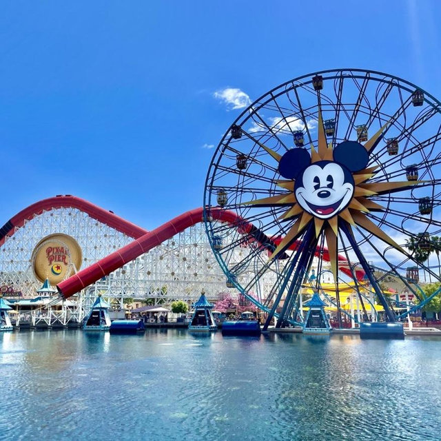 Disneyland Trip
