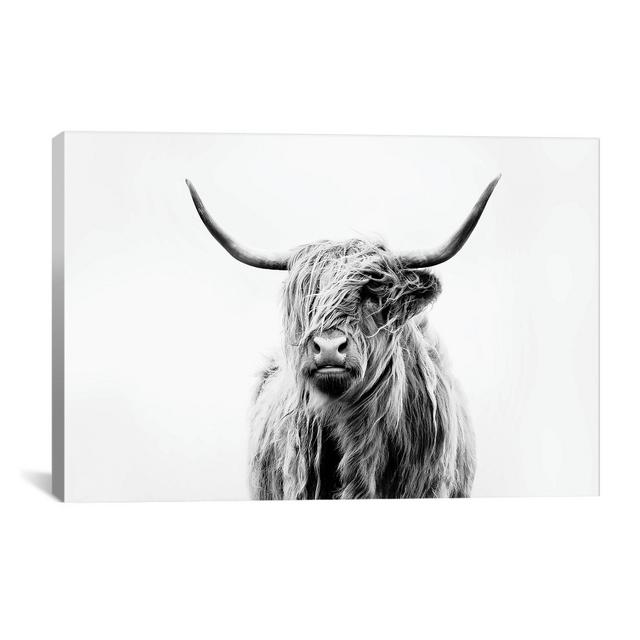 26" x 40" Portrait Of A Highland Cow by Dorit Fuhg Canvas Print Black/White - iCanvas