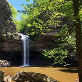 Cedar Falls Trailhead
