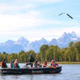 Scenic Float Down the Snake River