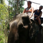 Samui Elephant Sanctuary