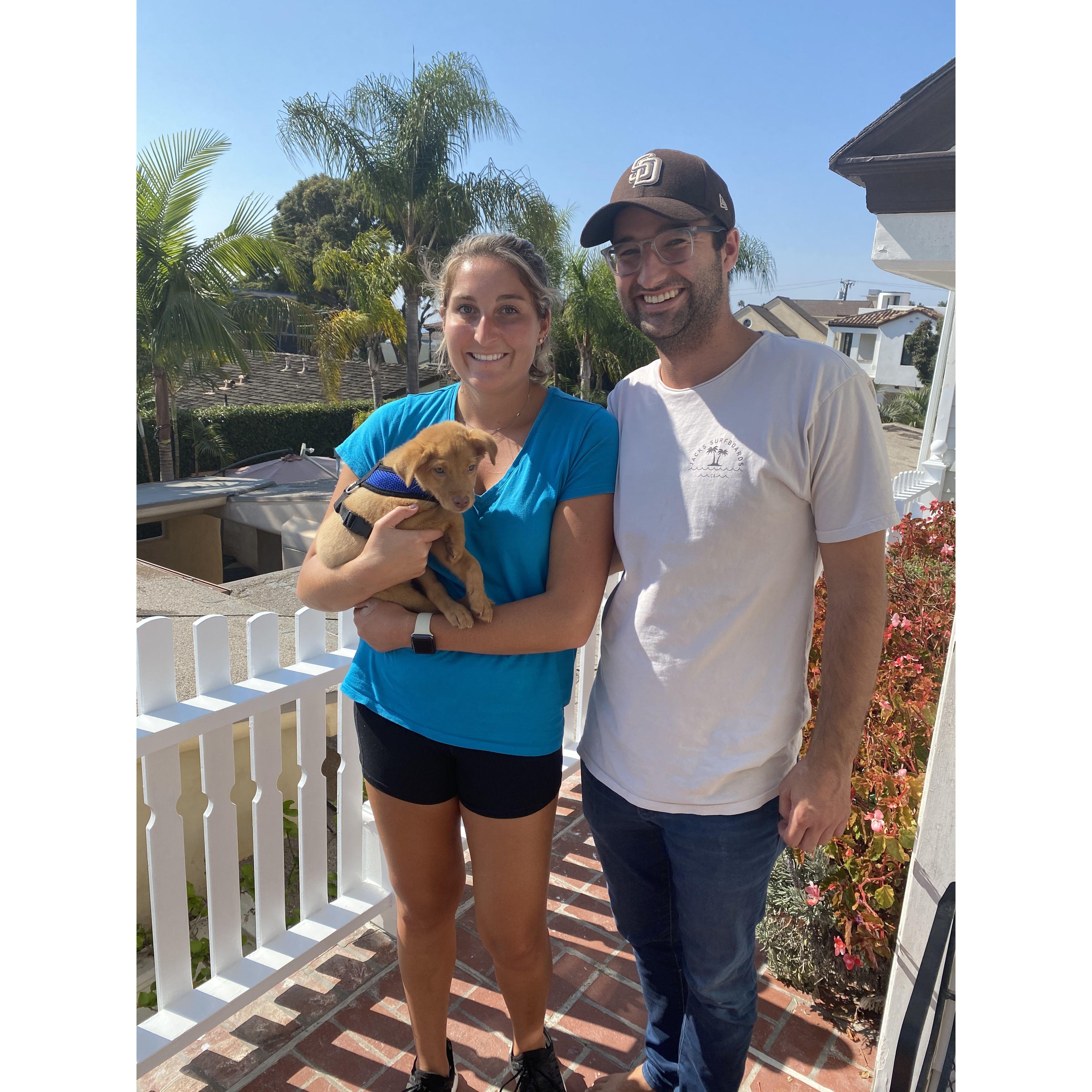 Pippa joins the fam October 2020